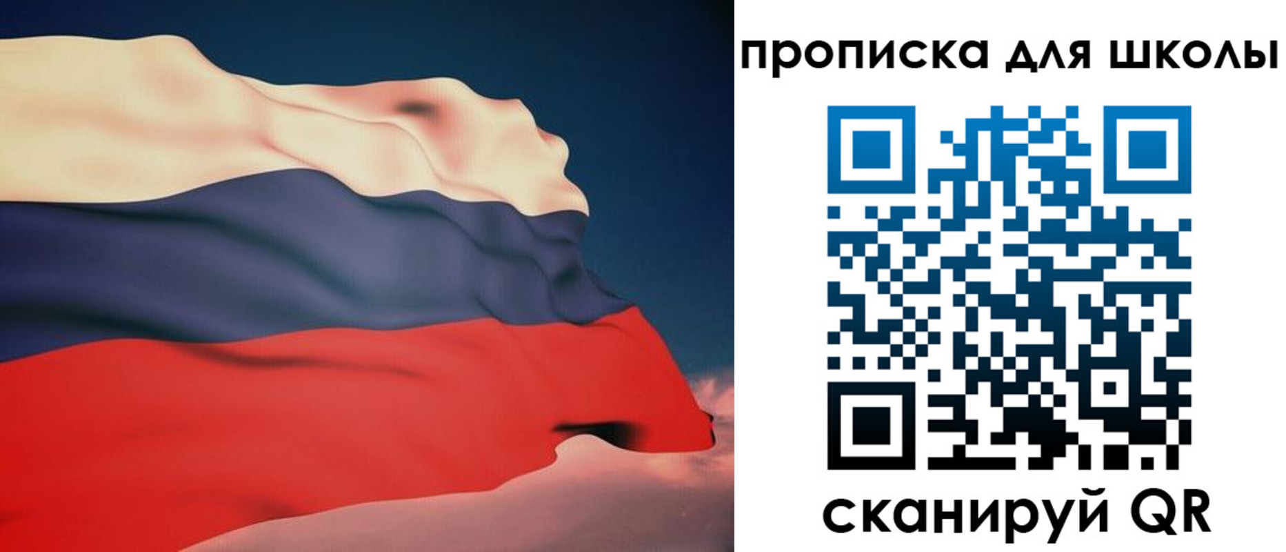 временная регистрация поиск в Воронежской области
